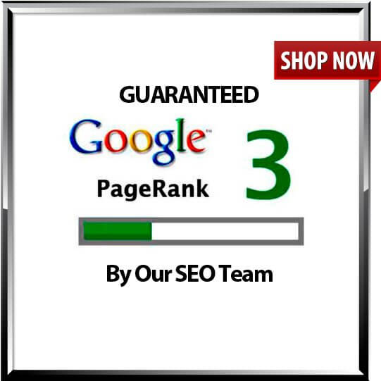 SEO Service